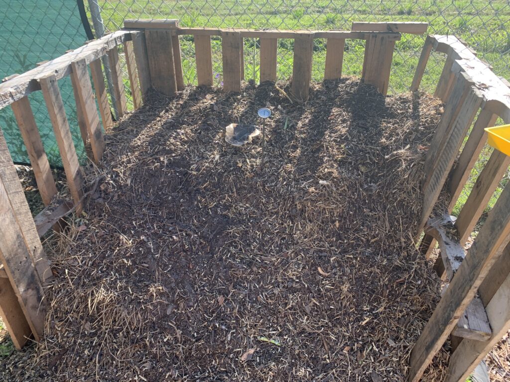 our compost pile